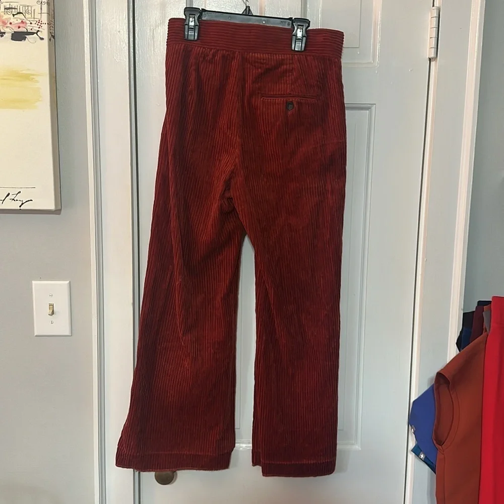 Zara Corduroy Pants size small